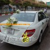 xe hoa 15 - duoi xe.jpg